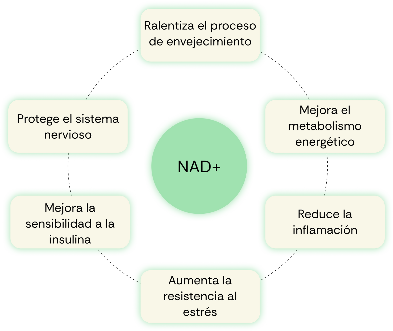 NAD+ benefits map