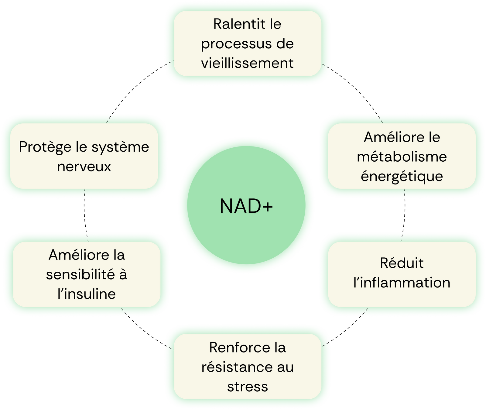 NAD+ benefits map