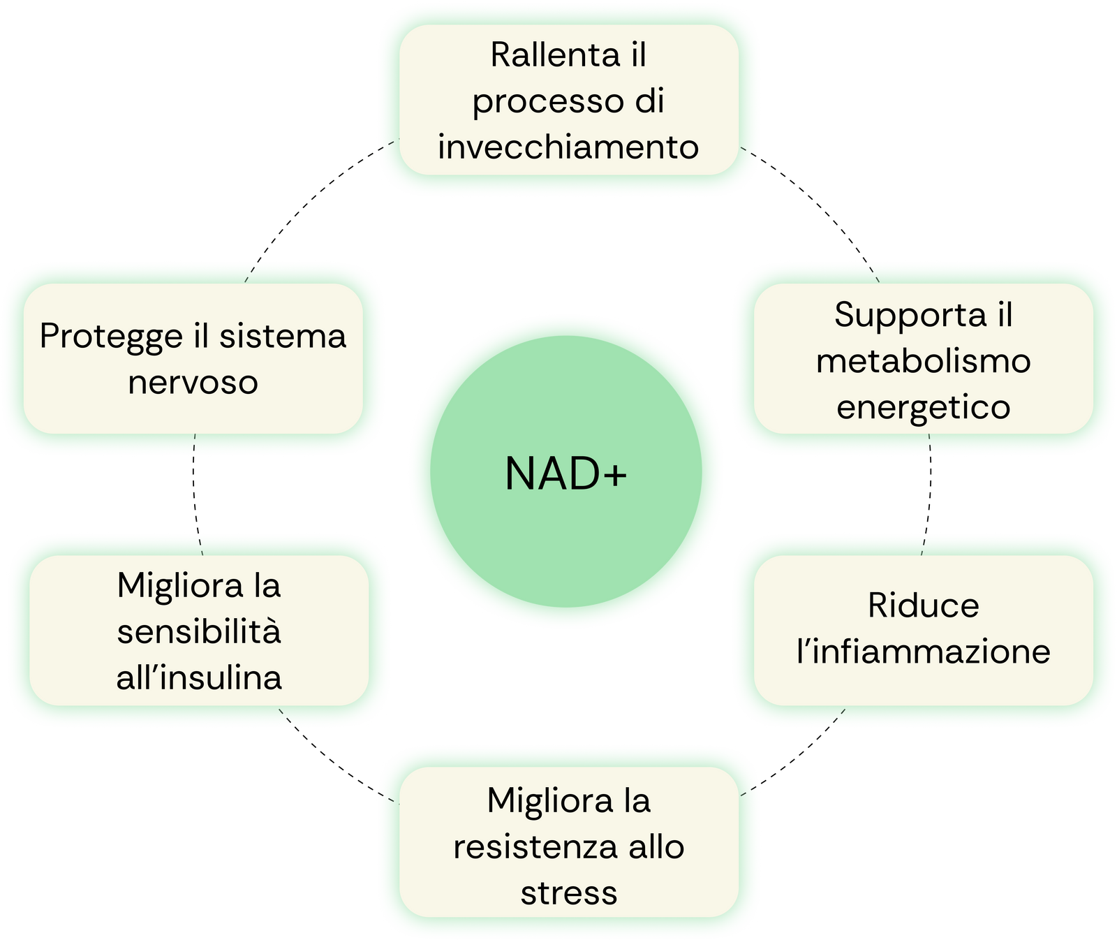 NAD+ benefits map